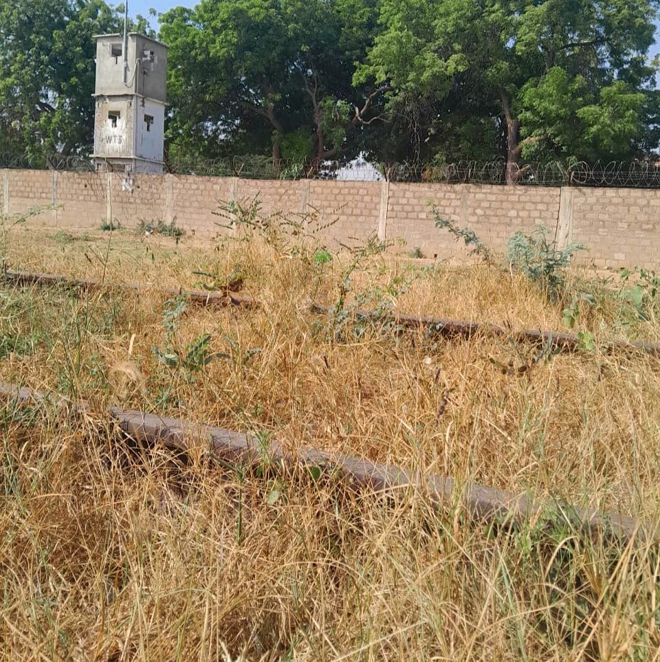 Grass growing on an abandoned railway track